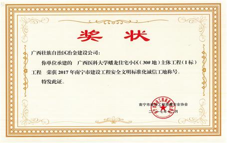 南寧分公司四個(gè)項(xiàng)目獲表彰！